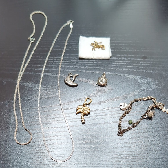 Jewelry - Small Lot Of Charms Charm Bracelet And 925 Necklaces